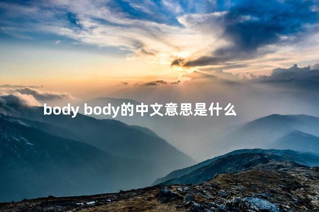 body body的中文意思是什么
